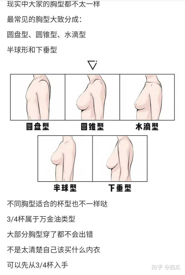 求问少女应何时佩戴文胸,如何挑选,确定罩杯?