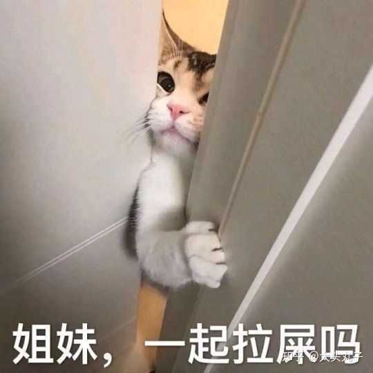 大家有没有一些日常聊天沙雕表情包?