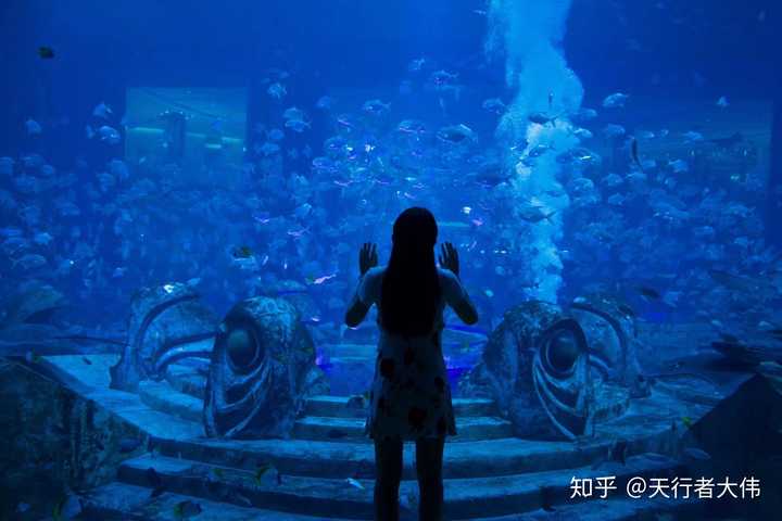 亚特兰蒂斯水族馆(模特还是我女朋友)