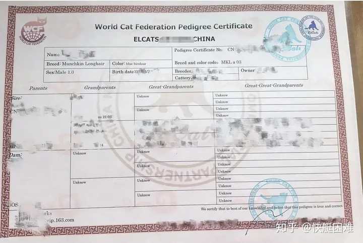 贴出了猫舍的tica和cfa高糊双证书以及年糕父母的wcf和tica的高糊证书
