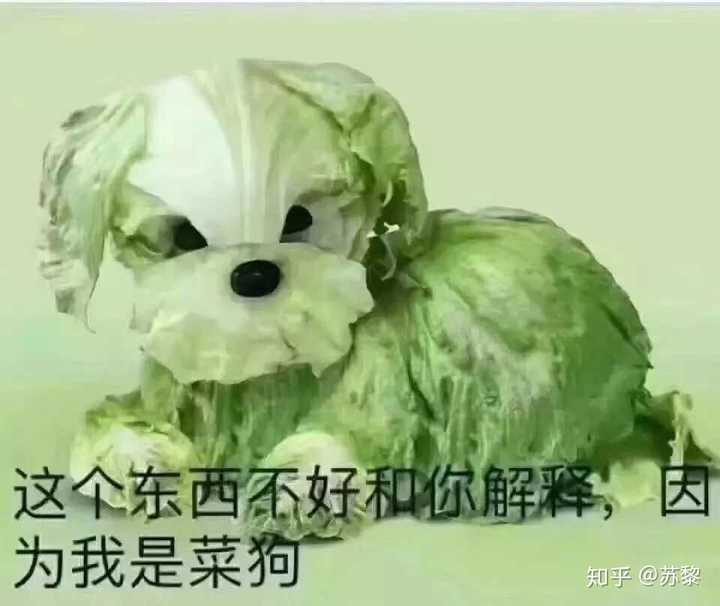 cxk难道不是因为"鸡你太美"这个梗才火的 ?