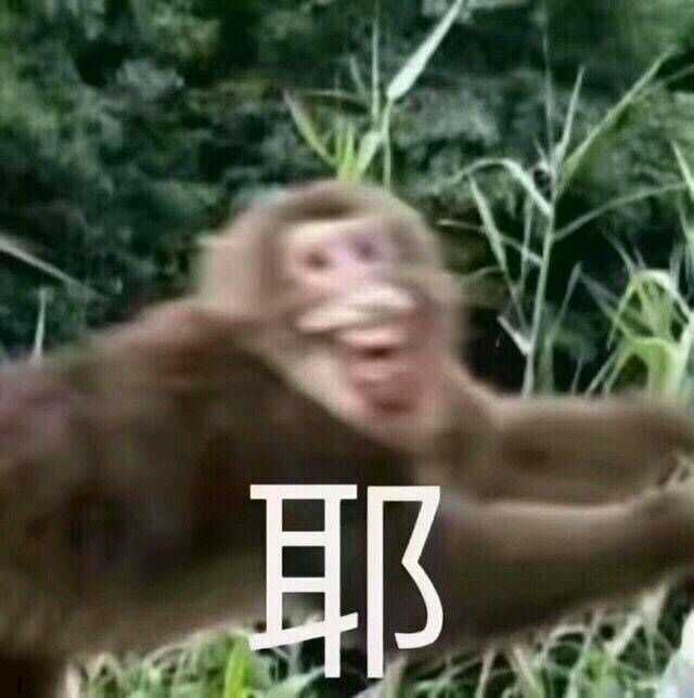 你都存了哪些沙雕表情包?
