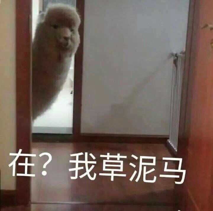 你们能贡献出你们深藏多年的表情包吗,嘤嘤嘤?