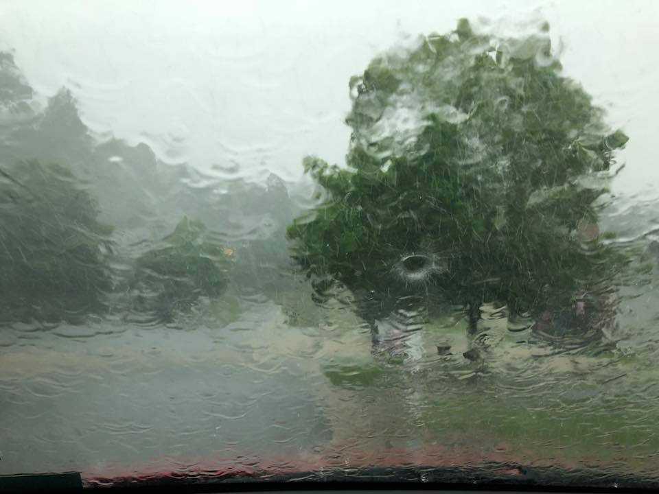 车都开到家门口了,被倾盆大雨堵在车上.从车里看出去像是印象派绘画.