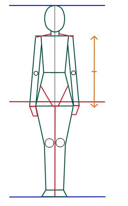 绘画中理想人体比例是怎样划分的?