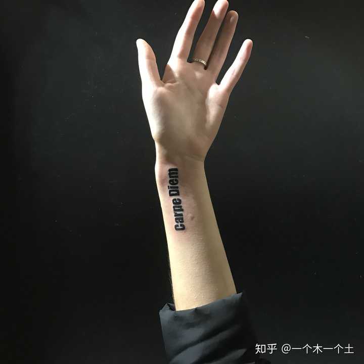 carpe diem 是拉丁文,反正意思就是活在当下,及时行种.