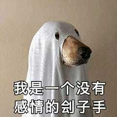 你手机里最可爱的表情有哪些(关闭水印搞笑摸头可爱表情包图片