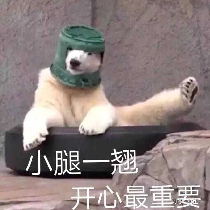 加油( _),奥利给!
