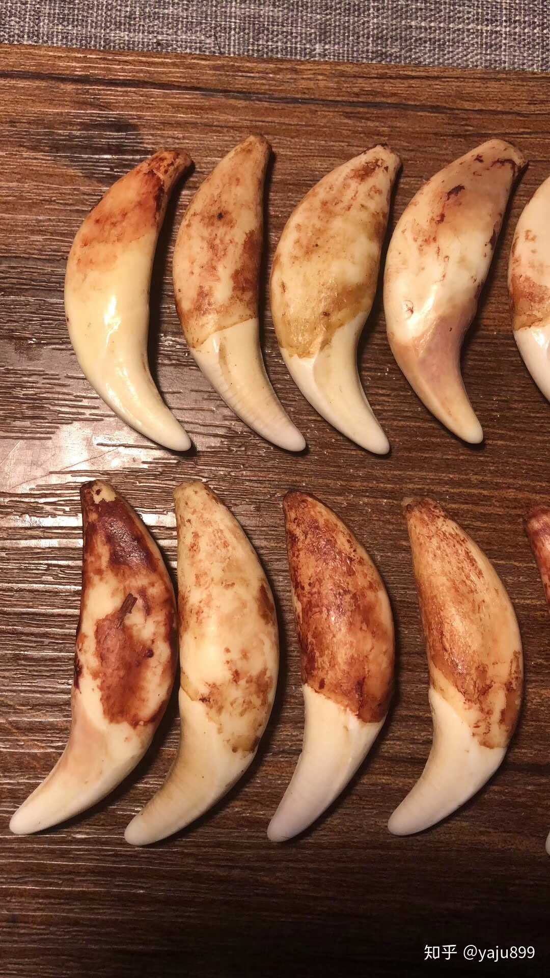 一手狼牙还有熊牙有喜欢的吗