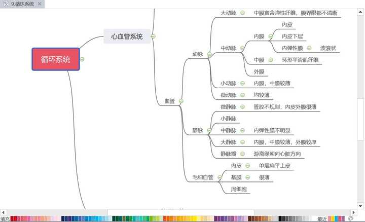 组胚学思维导图(部分)
