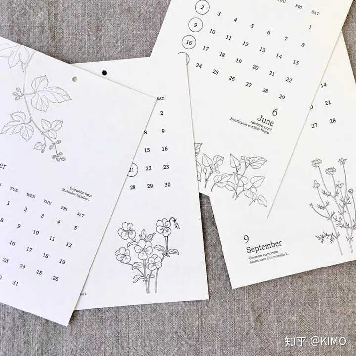 日本 letterpress 2020 日历  素描画 植物  线描画 活版印刷