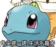 为什么《精灵宝可梦》的御三家里,只有杰尼龟被大量做成表情包?