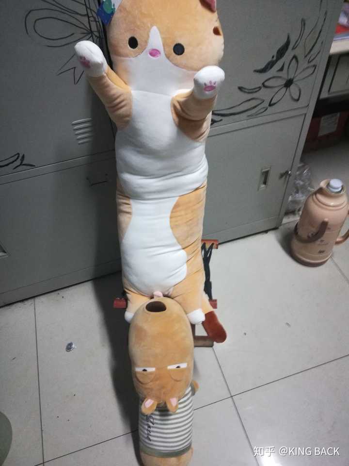 你们室友干过哪些搞笑奇葩事?