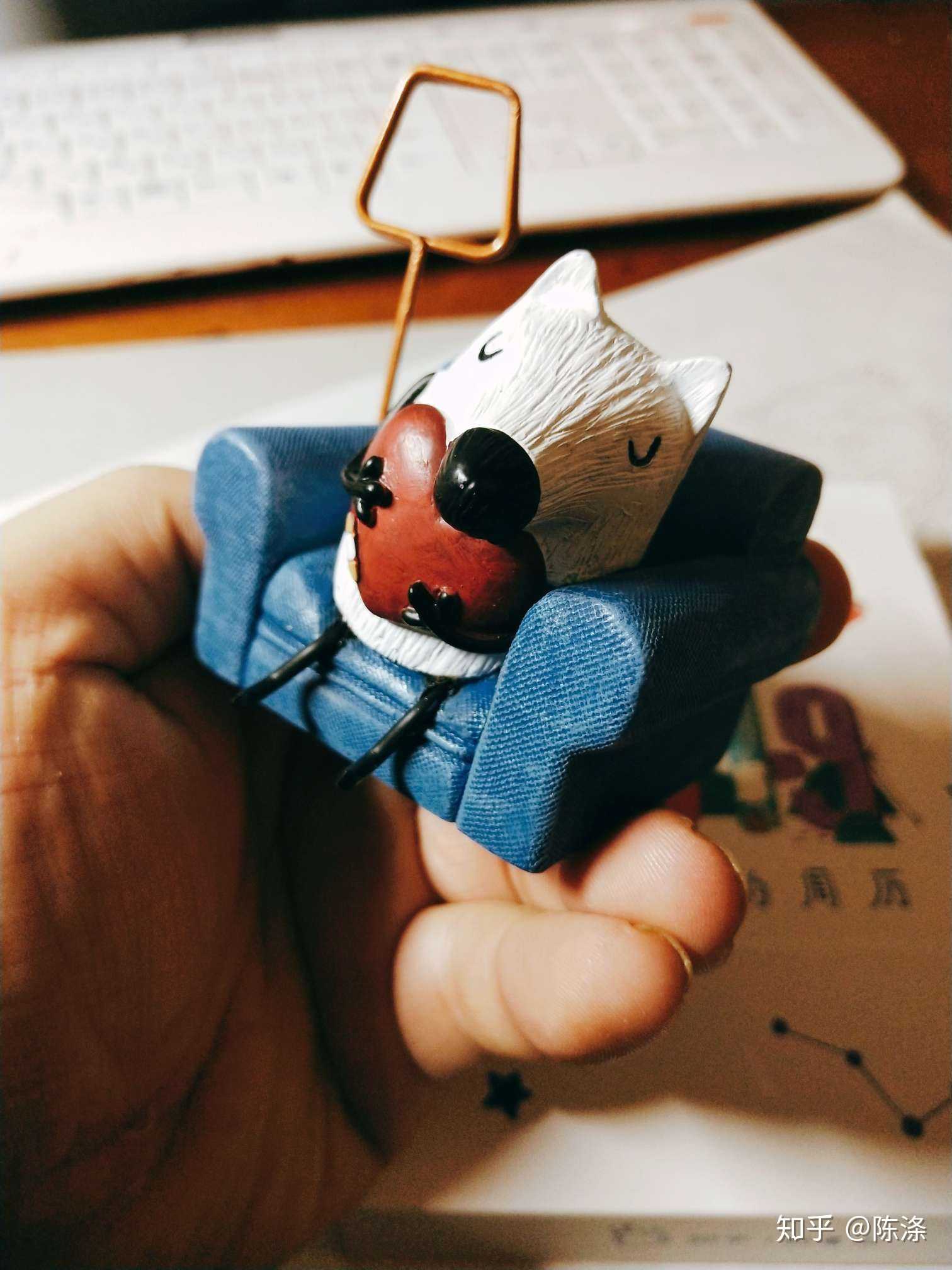知乎的元旦礼物:)