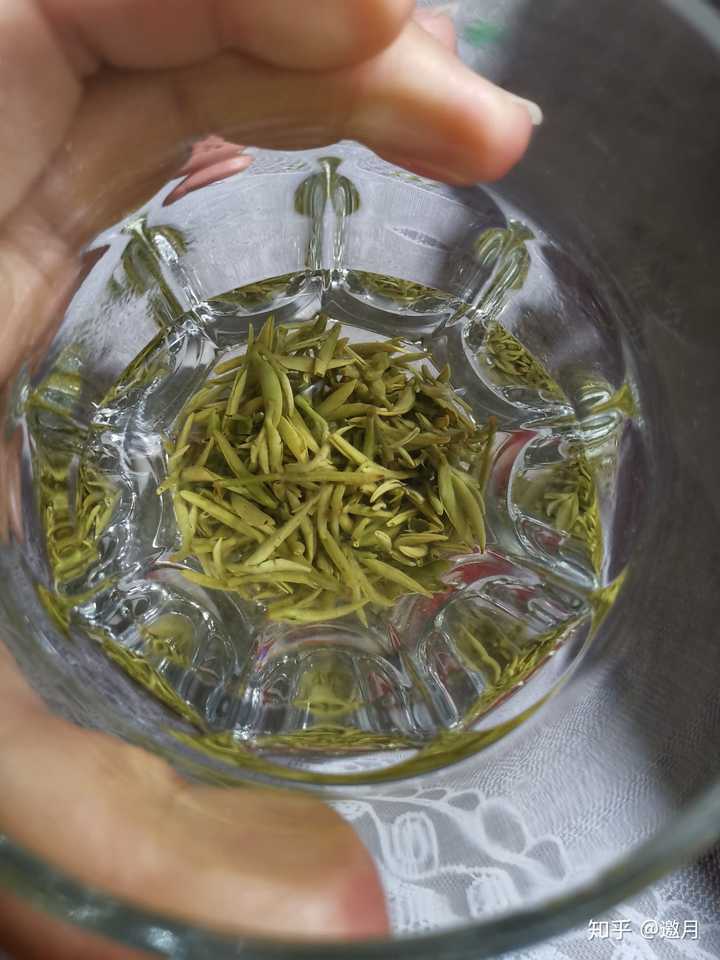 谢邀,昨天刚泡了一杯刚出锅的碧螺春尝鲜