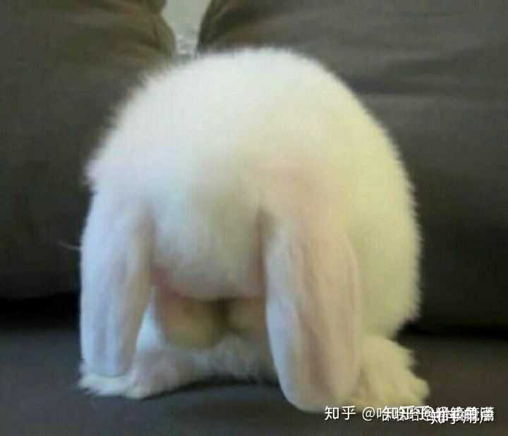 你用过最沙雕的头像是什么?