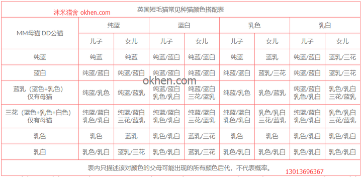 英短猫咪的繁育花色?