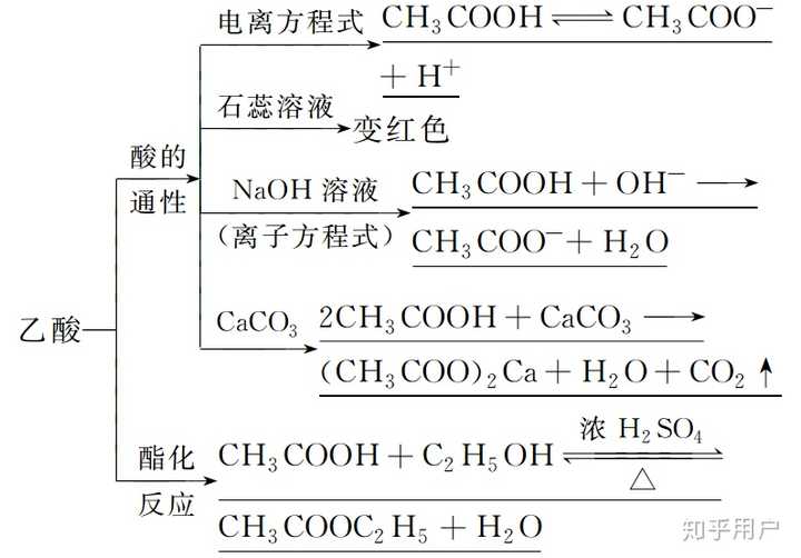 乙酸的组成和结构 (2)乙酸:写出相关的化学方程式 四,乙酸乙酯的制备