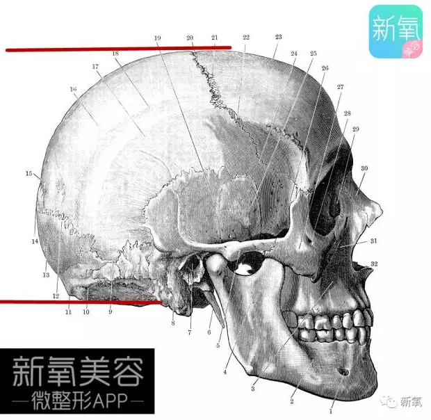 颅顶高低对脸有影响. 还记得迷死氧之前跟你们说过的高颅低颅吗?