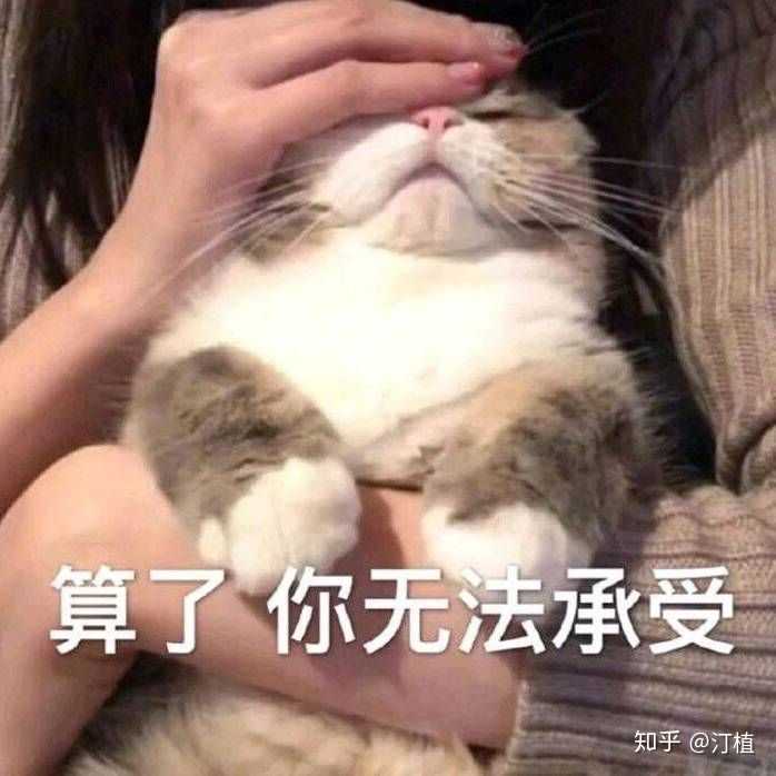 有没有什么生无可恋的表情包?