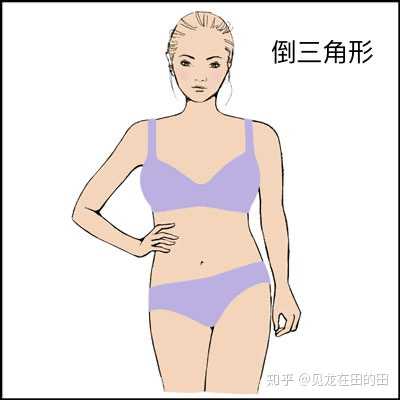 然后就是沙漏型身材,这种身材表现为肩宽,胸部线条明显,腰相对细点
