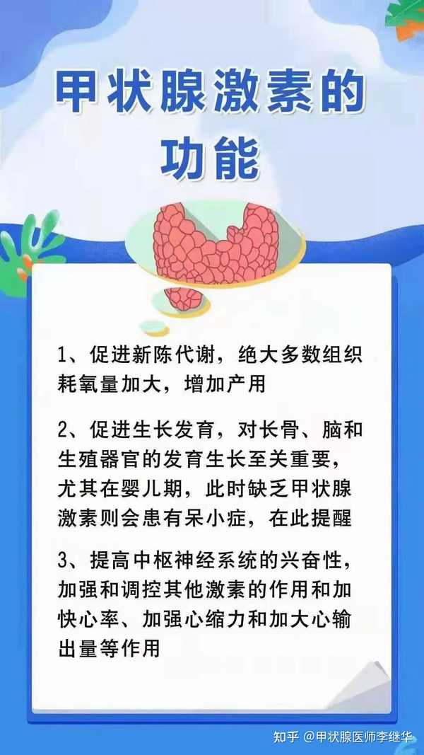 内分泌腺,分泌的甲状腺激素的对人体有重要作用,甲状腺激素的作用如下