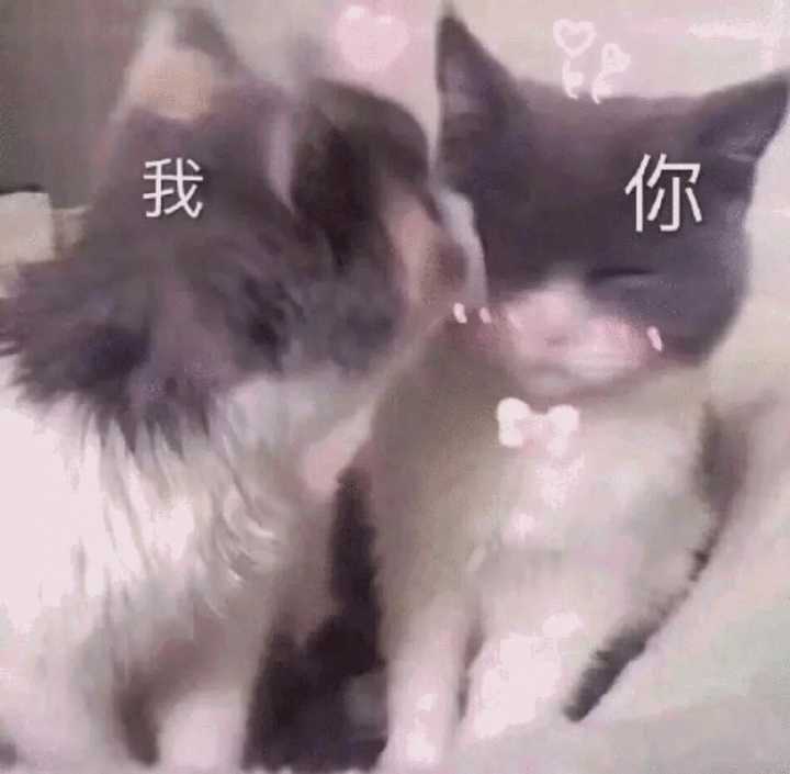 有哪些你舍不得删的沙雕表情包?
