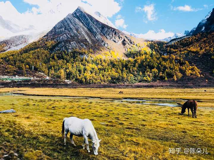 去之前先看下那边的天气情况,我们去年秋天去的,景色非常美腻,我想