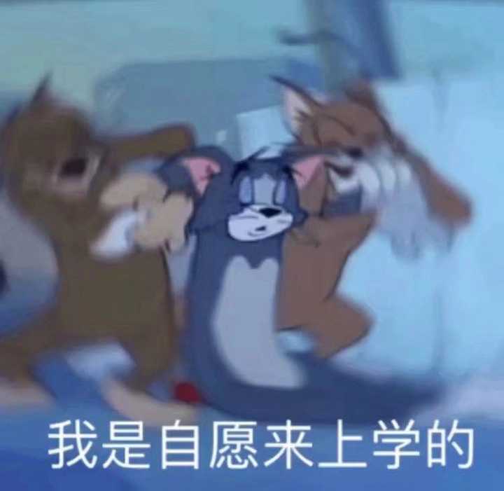 有没有可以在班级群打卡晨练时表达烦躁心情的头像?