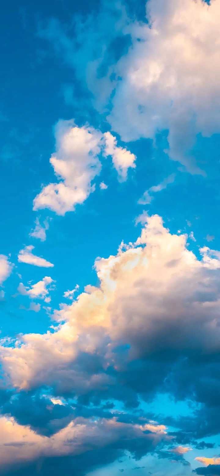可以分享给我一张你最喜欢的 适合夏天的壁纸吗?