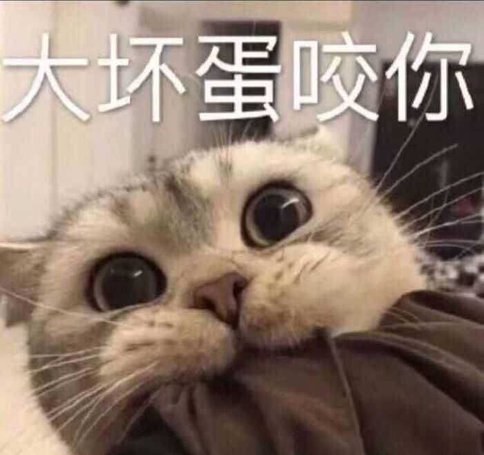 有没有撩人的表情包?