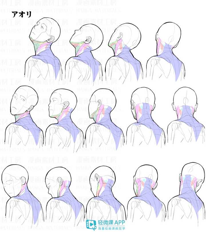 如何画好头颈肩的关系 知乎