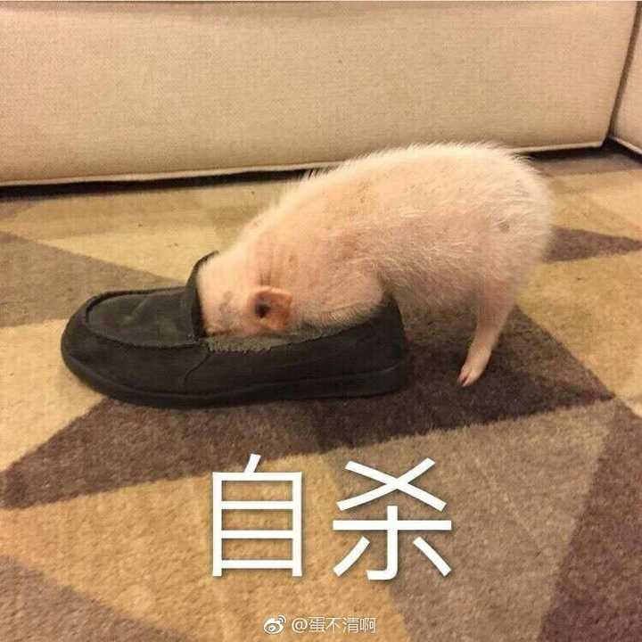 丢人丢到家是种怎样的体验?