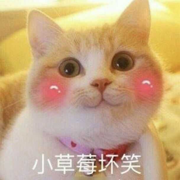 发几个我觉得比较好的适合官宣的配图 点开就是缘分 谢谢大噶!