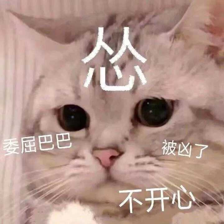 的目光从惊喜立刻转到佯装生气再到委屈 问,你怎么才回来(嘟嘟嘴