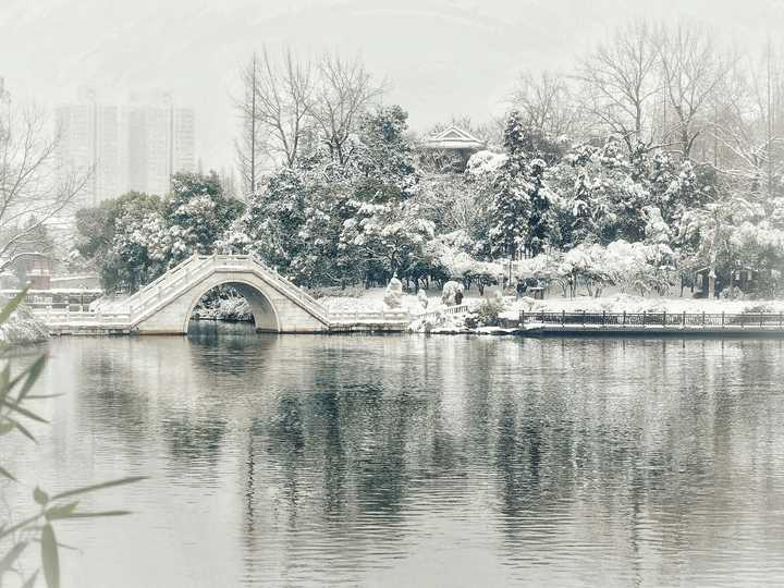 你见过最美的雪景是在哪里?