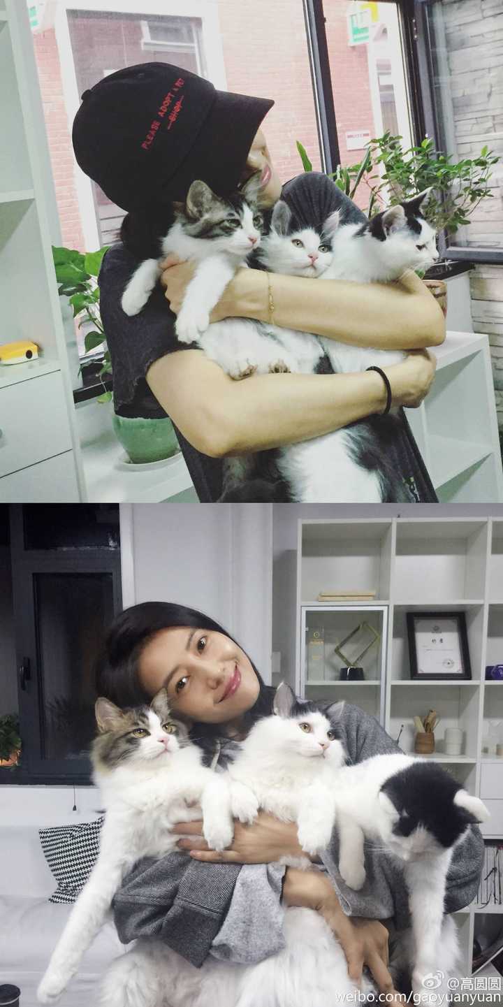 看着她抱着小猫咪一脸幸福温柔,真的是让人心生柔软