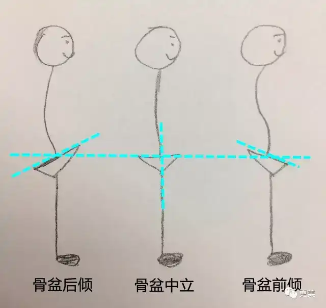 身体问题 上半身:胸变小,腹部脂肪囤积 下半身:臀部下垂,大腿前侧变粗