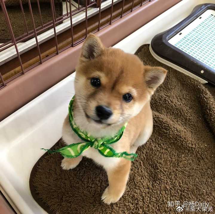 你手机里第 26 张照片是什么?有什么故事?