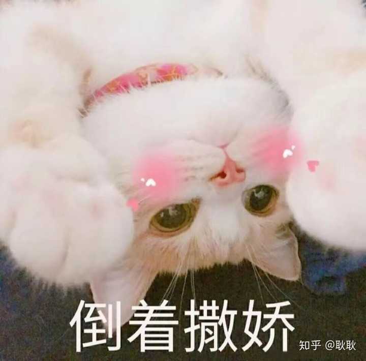 有哪些可以哄女朋友的表情包?