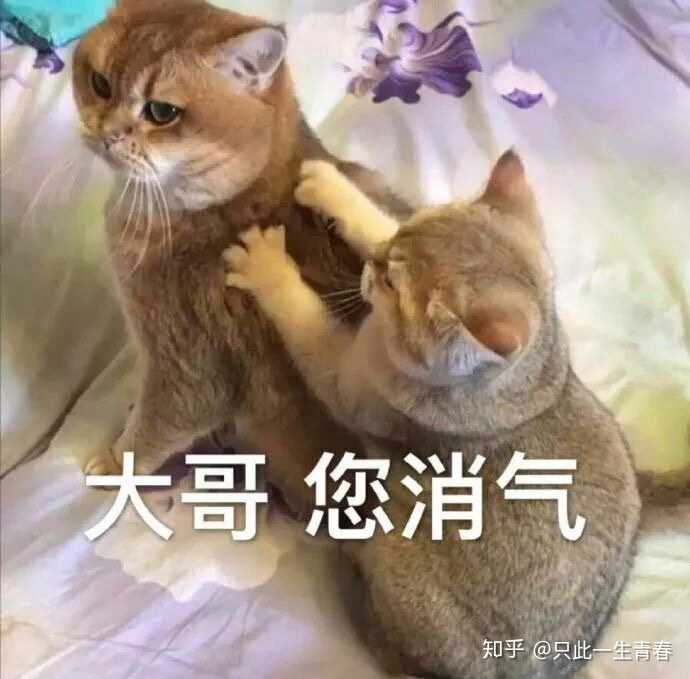 说:对不起