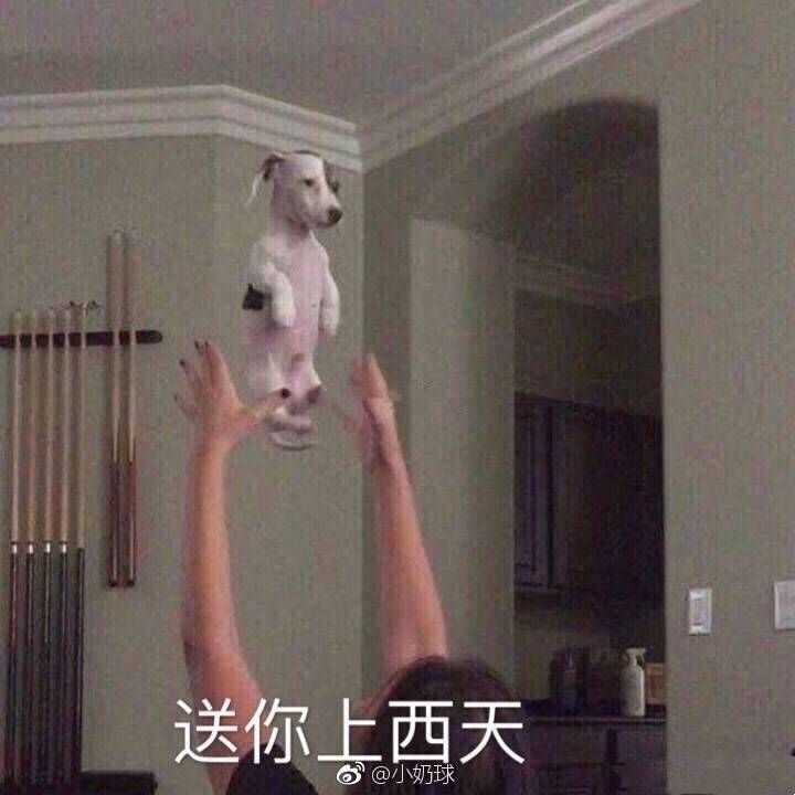 有人在秀恩爱,身为单身狗的我用什么表情包反击?