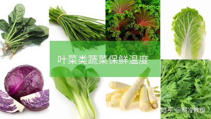 叶菜类蔬菜