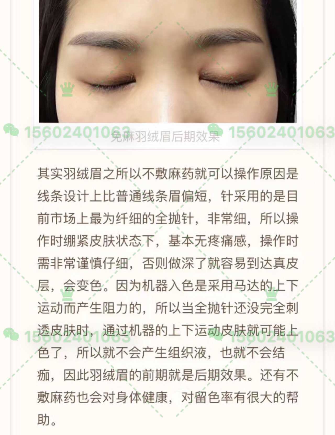 免麻羽绒眉的神秘面纱