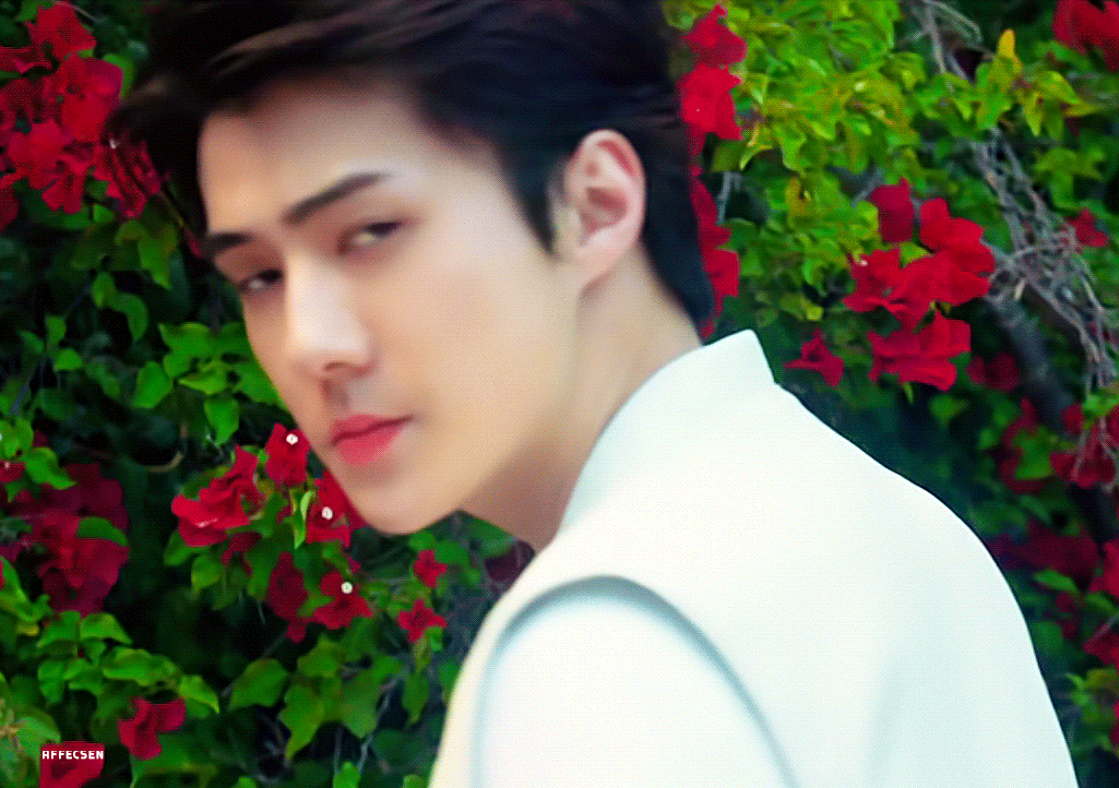 有没有吴世勋的神级动图?