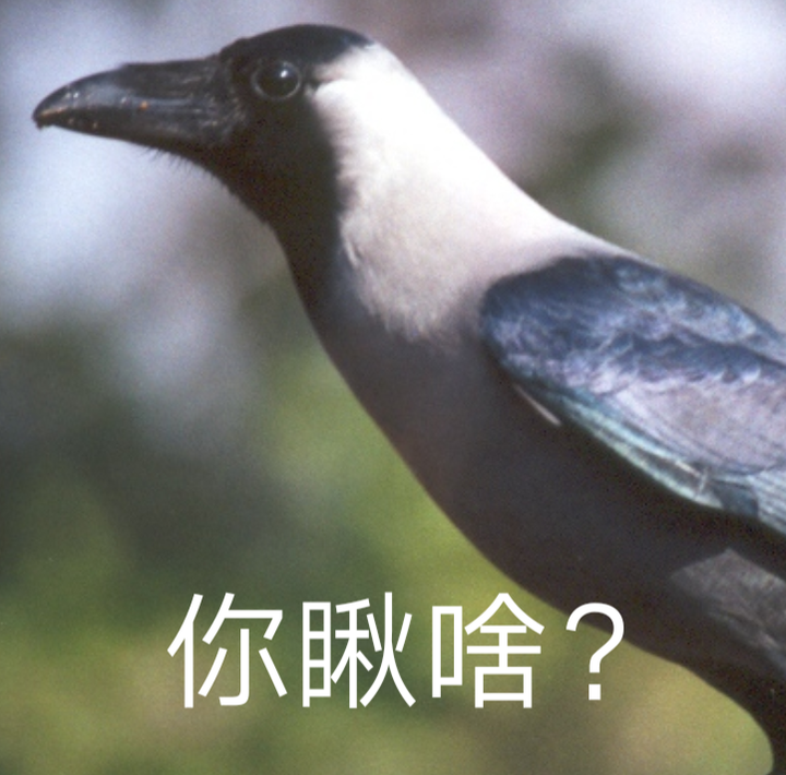 历史上有哪些乌鸦嘴