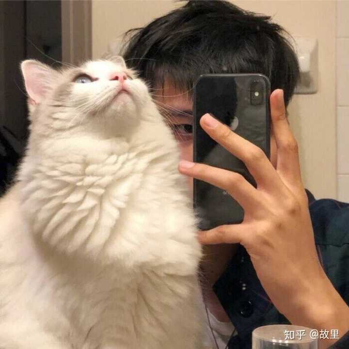 有没有不明显的情头?