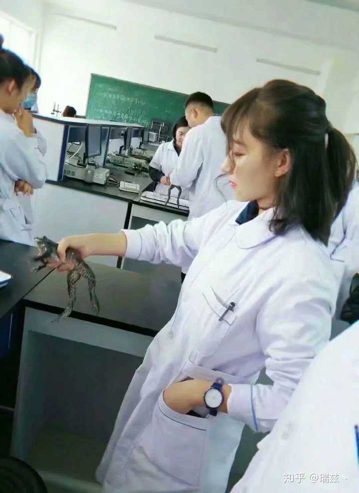 怎么才能找一个学医的女朋友?