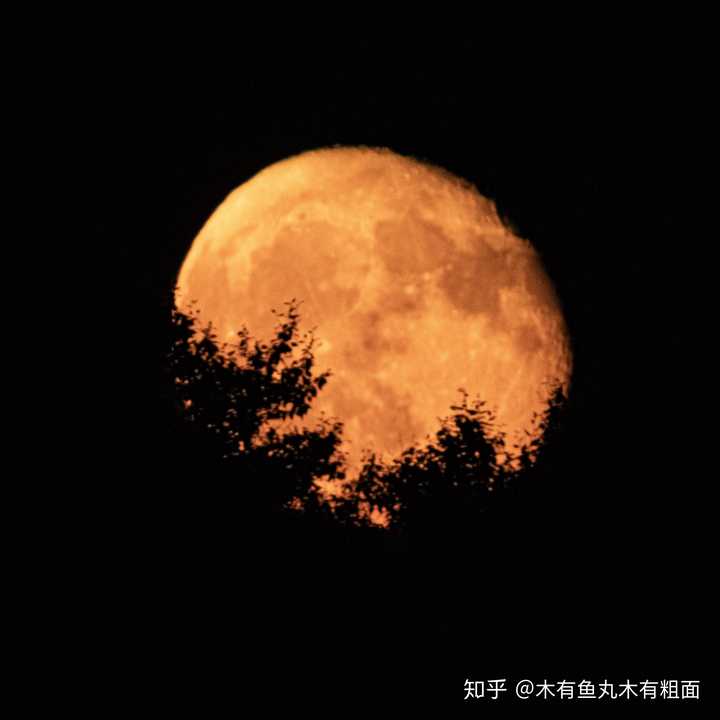 月升 还是湿度太大 不清楚