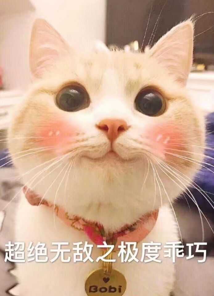 然后 他说 诶嘿嘿嘿你的脸真大